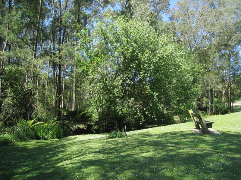Cockatoo - Belgrave Road, north of town centre: Parkland beside Cockatoo Creek