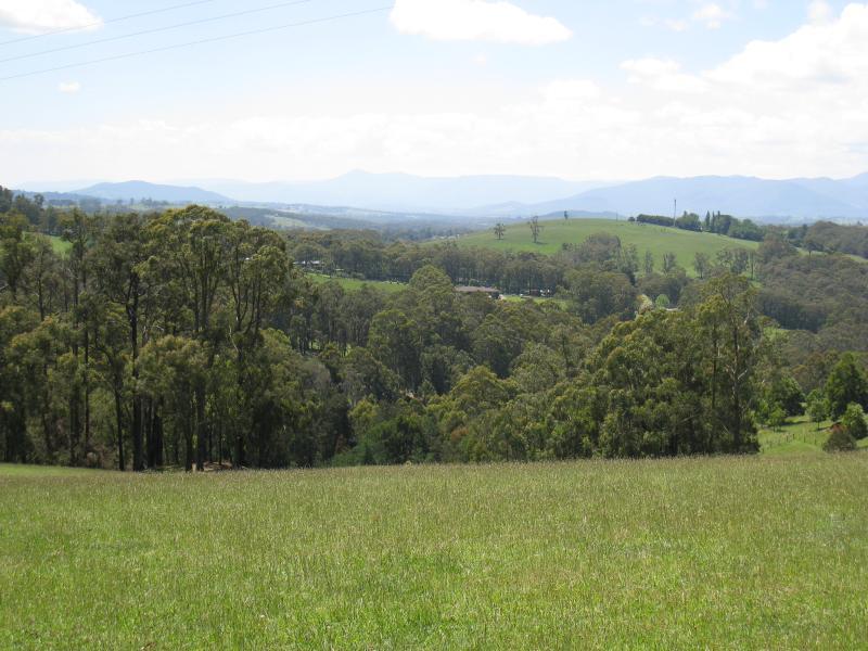 Cockatoo - Farm land, Phillip Road - North view through pastures, Phillip Road near Henderson Rd