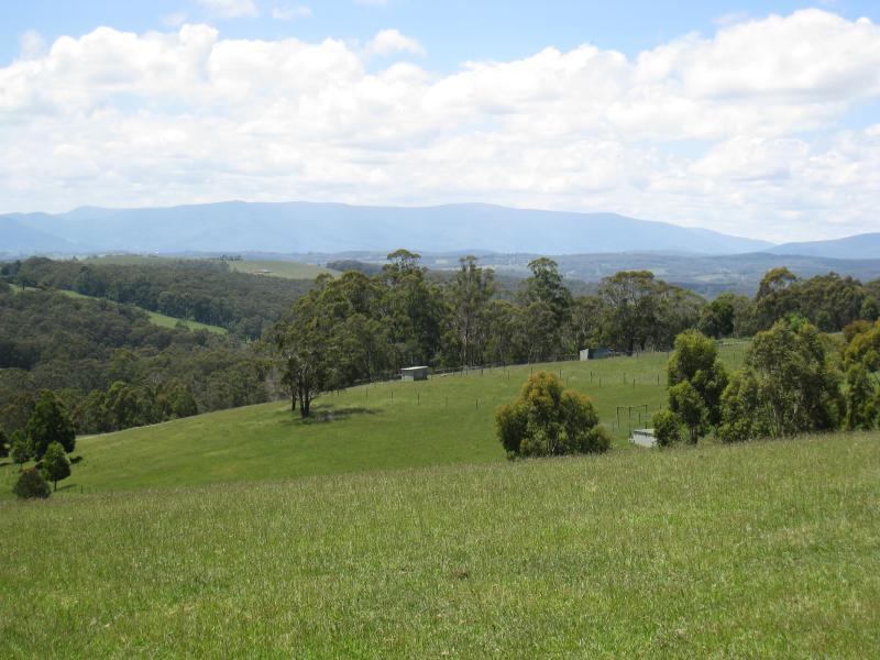 Cockatoo - Farm land, Phillip Road: North-east view through pastures, Phillip Road near Henderson Rd