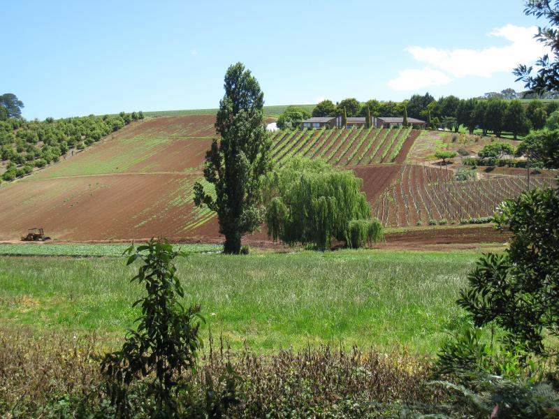 Cockatoo - Woori Yallock Road, north of town centre: View west towards farm land, Woori Yallock Road north of Francis St