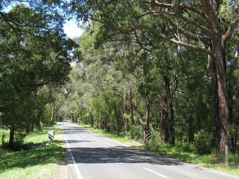Cockatoo - Woori Yallock Road, north of town centre: View north-east along Woori Yallock Rd approaching Bedford Rd