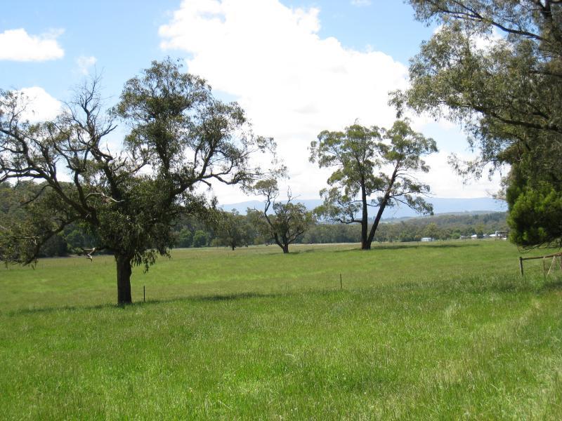 Cockatoo - Woori Yallock Road, north of town centre - View north through pastures, north of Bedford Rd