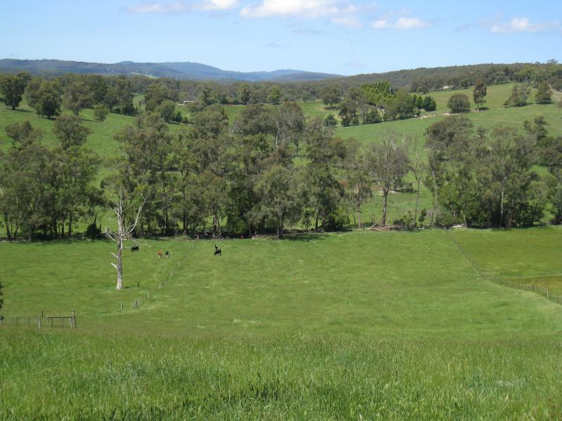 Cockatoo - Woori Yallock Road, north of town centre: Easterly view at Calder Rd