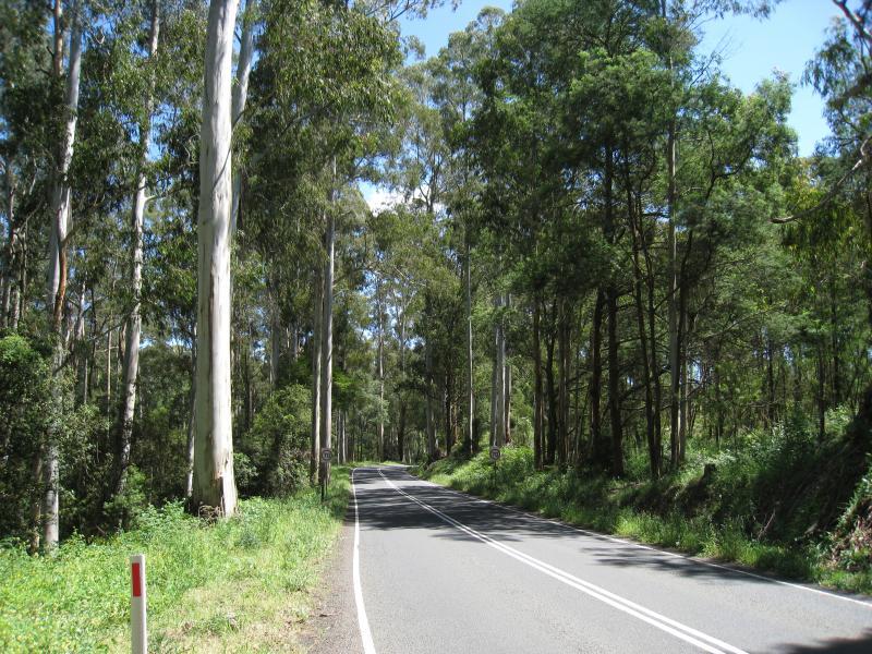 Cockatoo - Pakenham Road, south of town centre: View north along Pakenham Rd near Taylor Rd