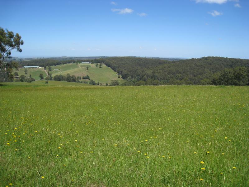 Cockatoo - Paternoster Road, south-west of town centre: Southerly view, Paternoster Rd near Halcyon Gv