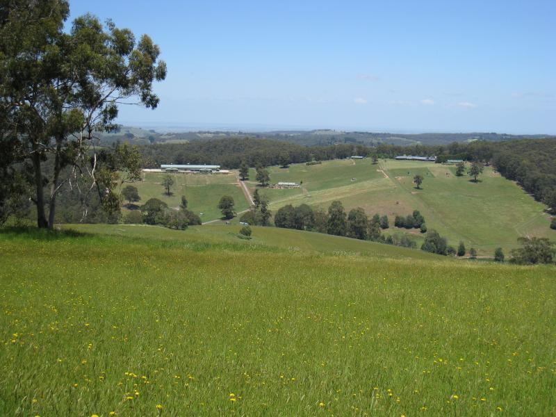 Cockatoo - Paternoster Road, south-west of town centre: Southerly view, Paternoster Rd near Halcyon Gv