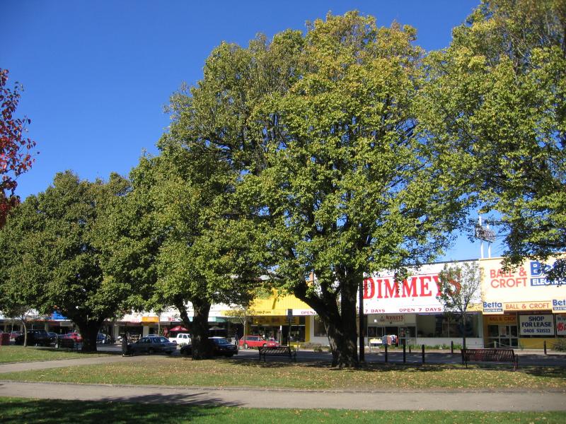 Colac - Memorial Square, Murray Street: View through Memorial Square towards shops along Murray St