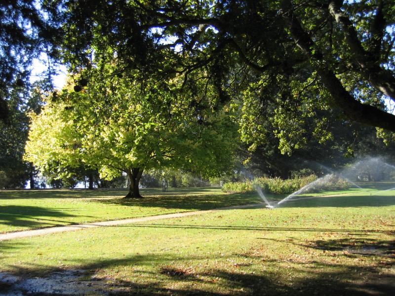 Colac - Botanic Gardens, Fyans Street: Gardens