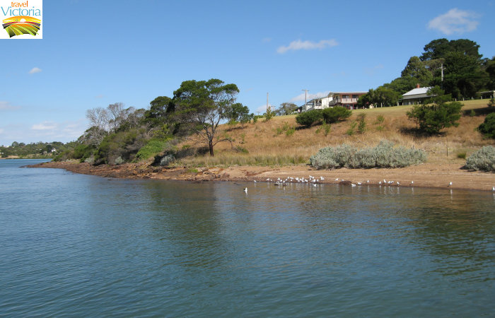 Corinella - Coastal views east of boat ramp