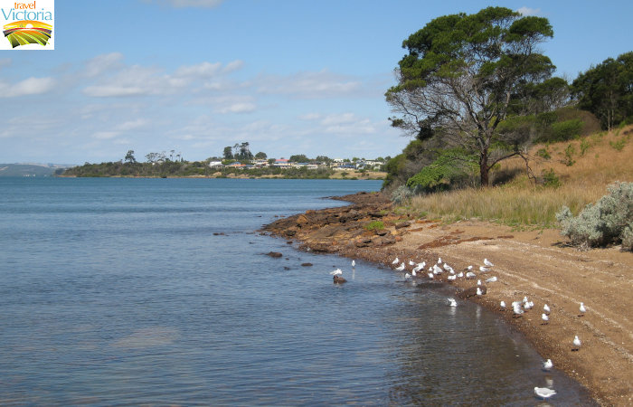 Corinella - Coastal views east of boat ramp