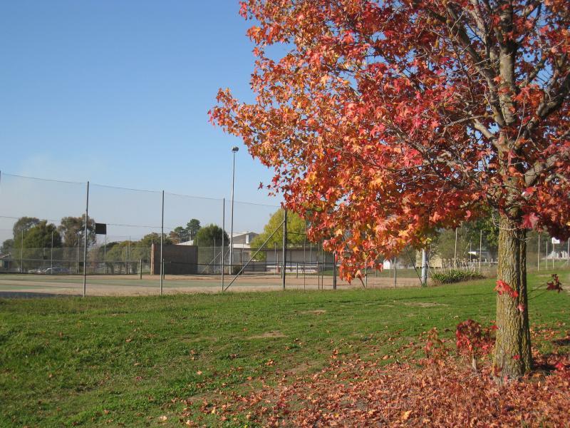 Corryong - Corryong Recreation Reserve: Tennis courts