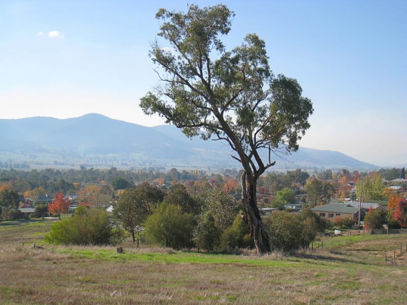 Corryong - Corryong cemetery and surroundings: Northerly view from corner of Parish La and Memorial La
