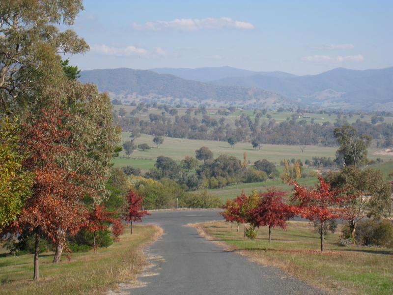 Corryong - Playles Lookout, Back Thowgla Road: View back along entrance road to lookout