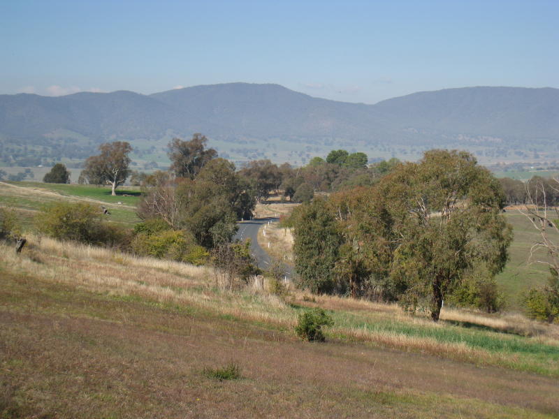 Corryong - Playles Lookout, Back Thowgla Road: View south-east along Back Thowgla Rd