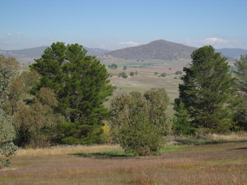 Corryong - Playles Lookout, Back Thowgla Road: Southerly view