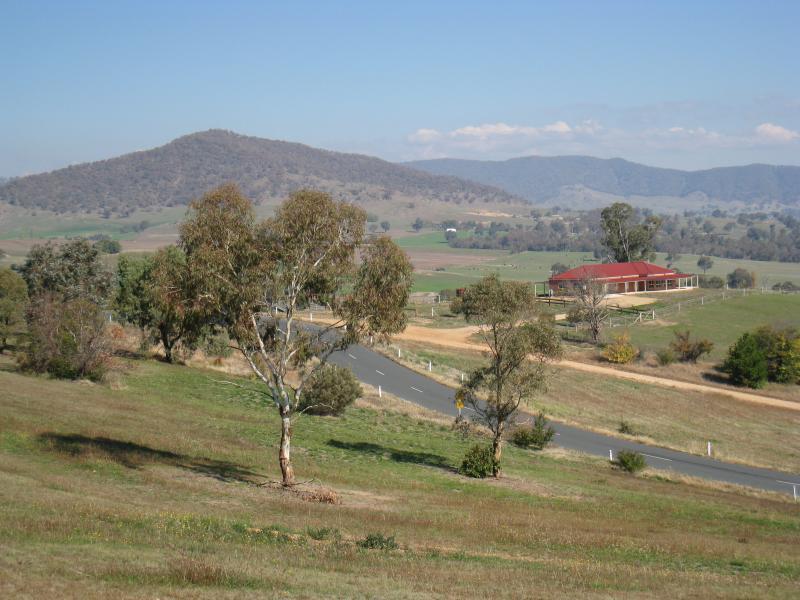 Corryong - Playles Lookout, Back Thowgla Road: Southerly view along Back Thowgla Rd