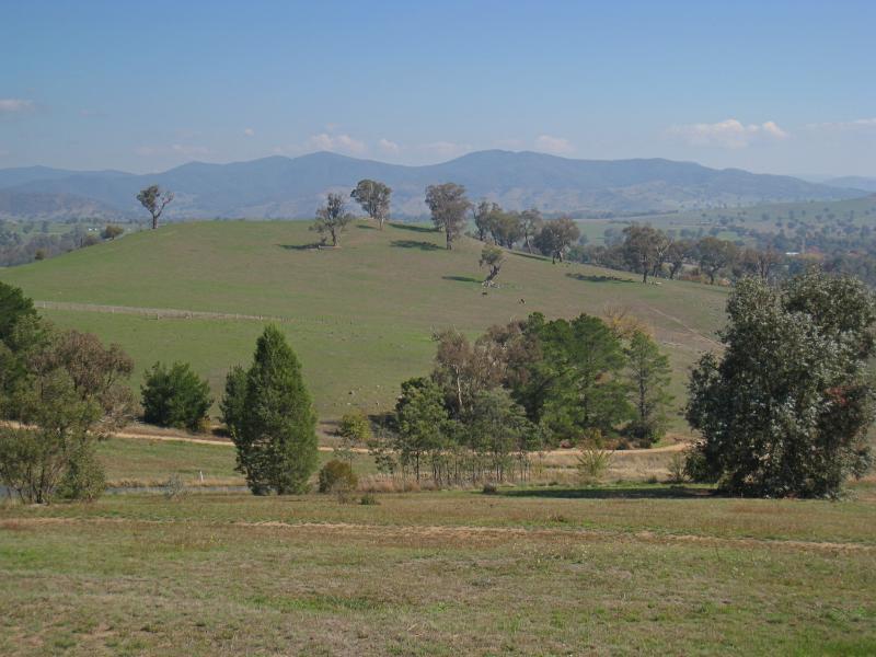 Corryong - Playles Lookout, Back Thowgla Road: South-west view