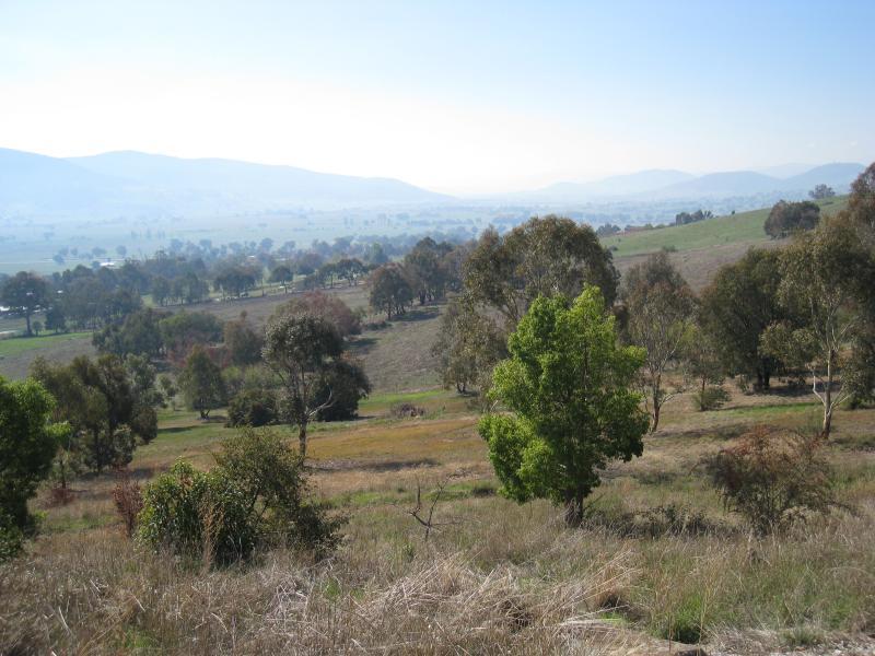 Corryong - Playles Lookout, Back Thowgla Road: North-easterly view