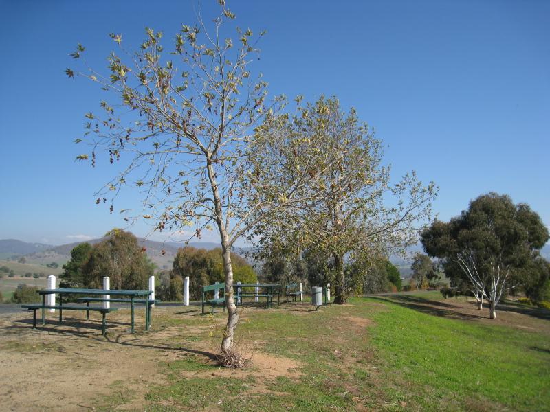 Corryong - Playles Lookout, Back Thowgla Road: Picnic tables at end of access road