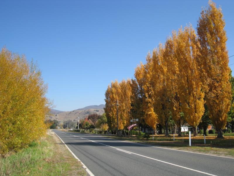 Corryong - Town of Colac Colac, Murray Valley Highway west of Corryong: View west along Murray Valley Hwy at caravan park