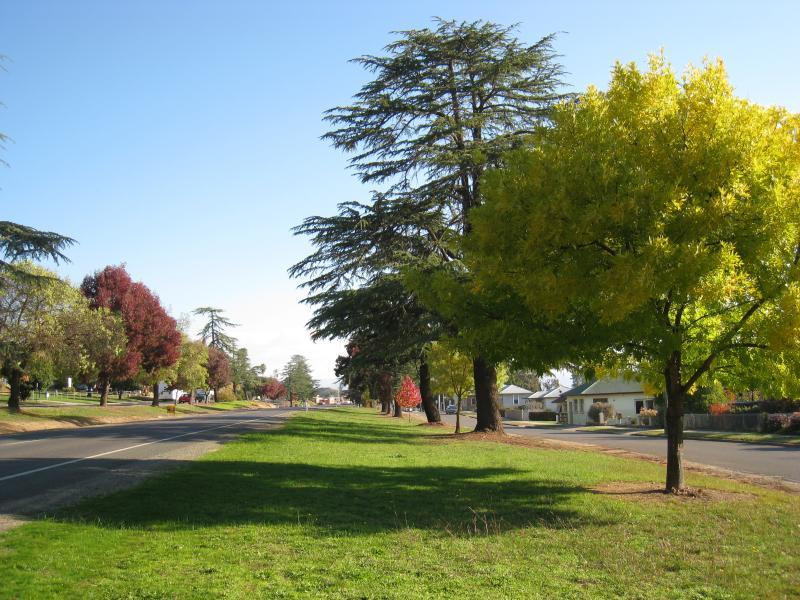 Corryong - Towong Road and Murray Valley Highway, east end of Corryong: View south-west along Towong Rd near secondary college