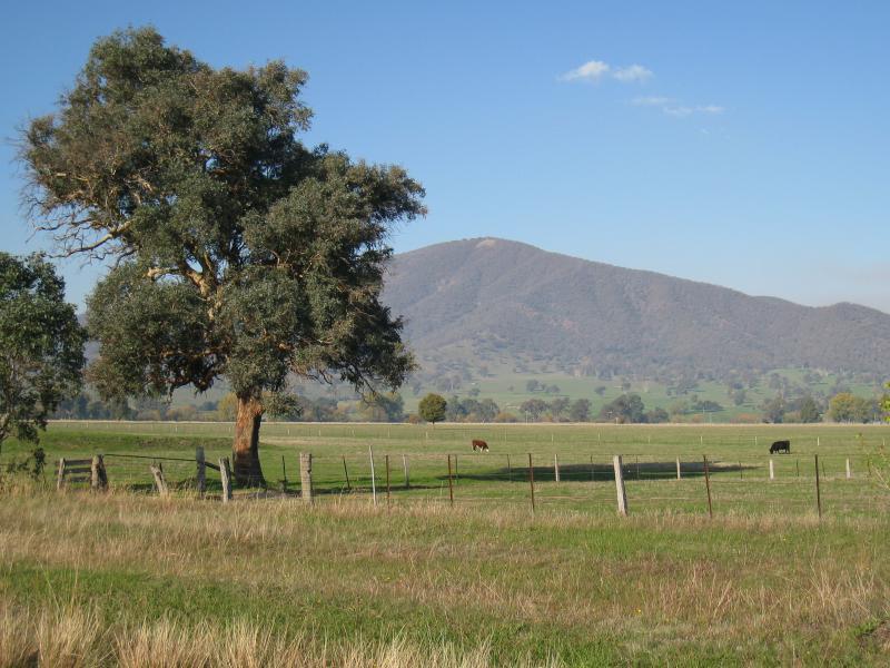 Corryong - Towong Road and Murray Valley Highway, east end of Corryong: Easterly view at stockman monument, east end of town