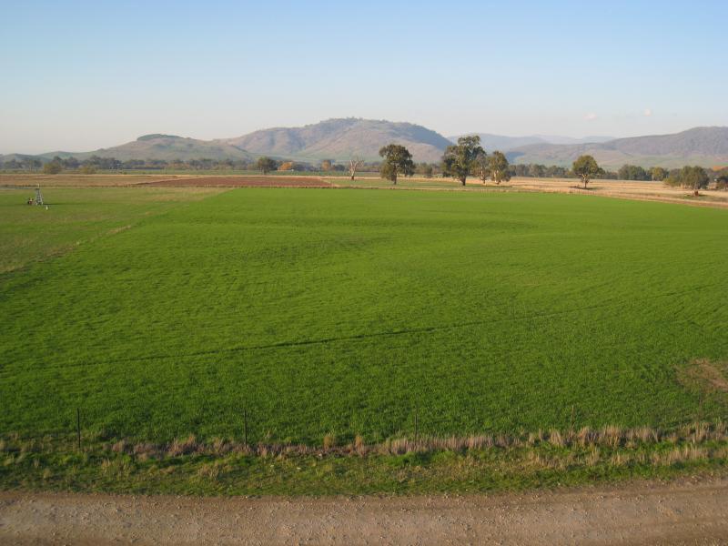 Corryong - Towong Racecourse: Easterly view from lookout tower