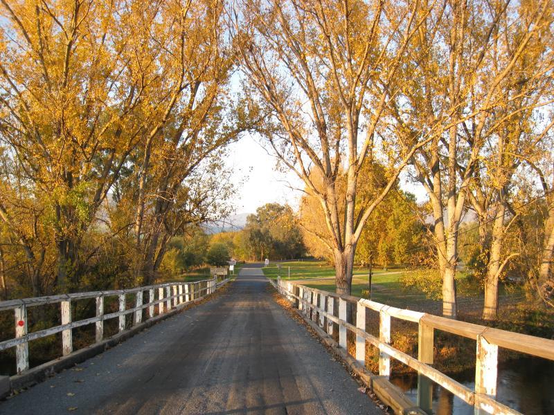 Corryong - Murray River at Towong (state border with N.S.W.): View north-east along bridge over Murray River
