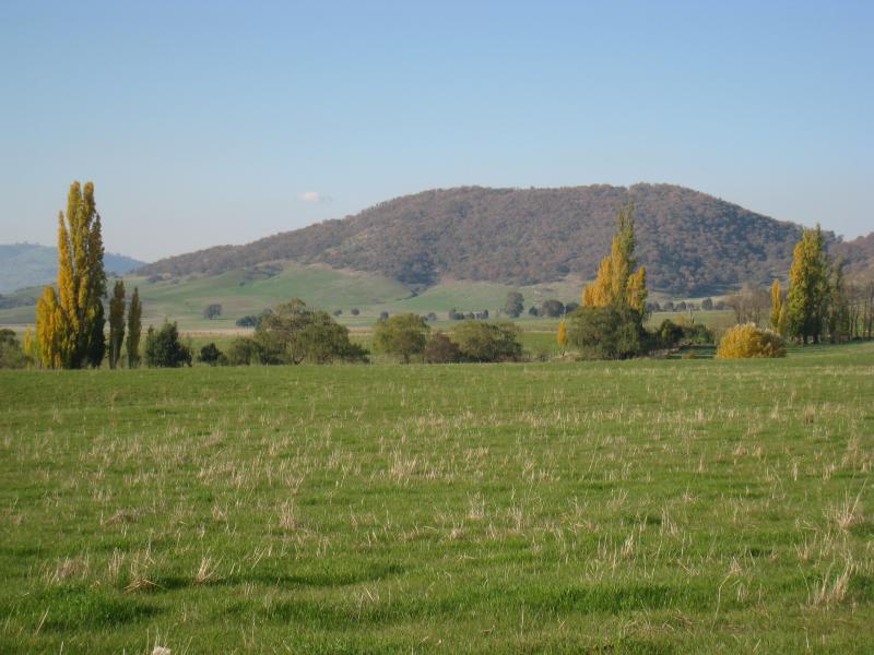 Corryong - Murray Valley Highway, between Murray River Road and Murray River: Easterly view from Murray Valley Hwy just east of Murray River Rd
