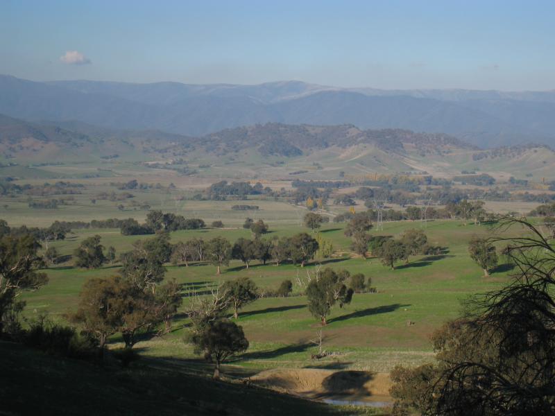 Corryong - Murray Valley Highway, between Murray River Road and Murray River: Easterly view from Towong Gap lookout