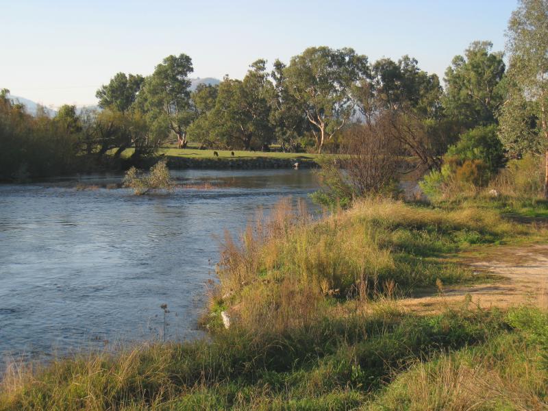 Corryong - Murray Valley Highway at Murray River (state border with N.S.W.): View north-east along Murray River near bridge