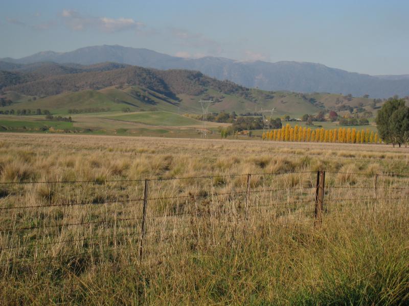 Corryong - Murray Valley Highway at Murray River (state border with N.S.W.): North-east view from Alpine Way east of Murray River