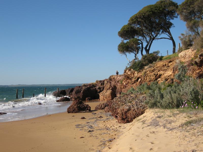 Cowes - Coast between Cowes Jetty and Mussel Rocks: View east along beach towards Mussel Rocks