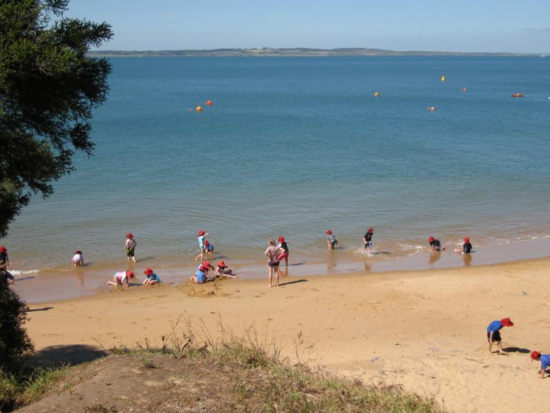 Cowes - Beach and foreshore between Erehwon Point and Coghlan Road: View down to beach from eastern side of Erehwon Point