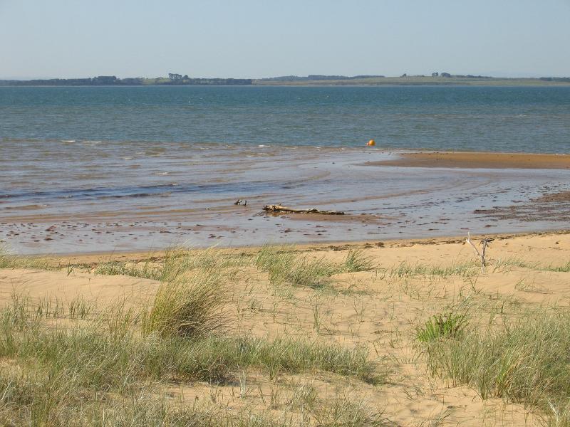 Cowes - Beach and foreshore, Silverleaves Avenue, east of Cowes: View north across beach towards French Island