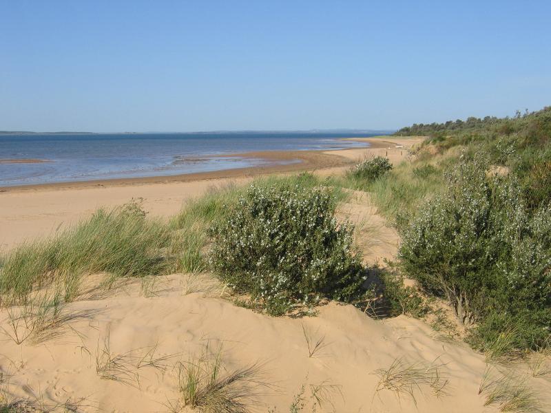 Cowes - Beach and foreshore, Silverleaves Avenue, east of Cowes: View east along beach