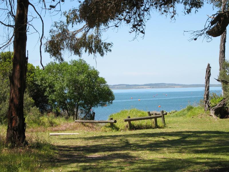 Cowes - Coast at Richardson Point, at end of McHaffie Drive: Lawn at top of cliff above beach