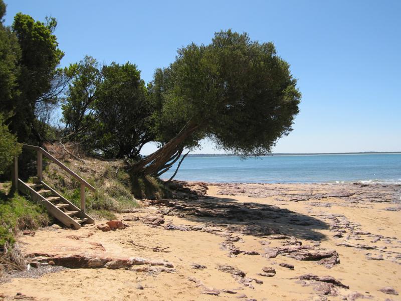 Cowes - Coast at Richardson Point, at end of McHaffie Drive: Steps down to beach