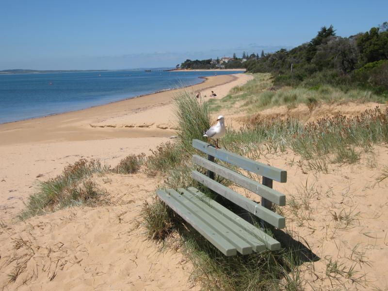 Cowes - Boat ramp and beach at end of Anderson Road: View east along coast at cafe
