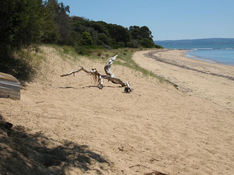 Cowes - Boat ramp and beach at end of Anderson Road: View west along beach