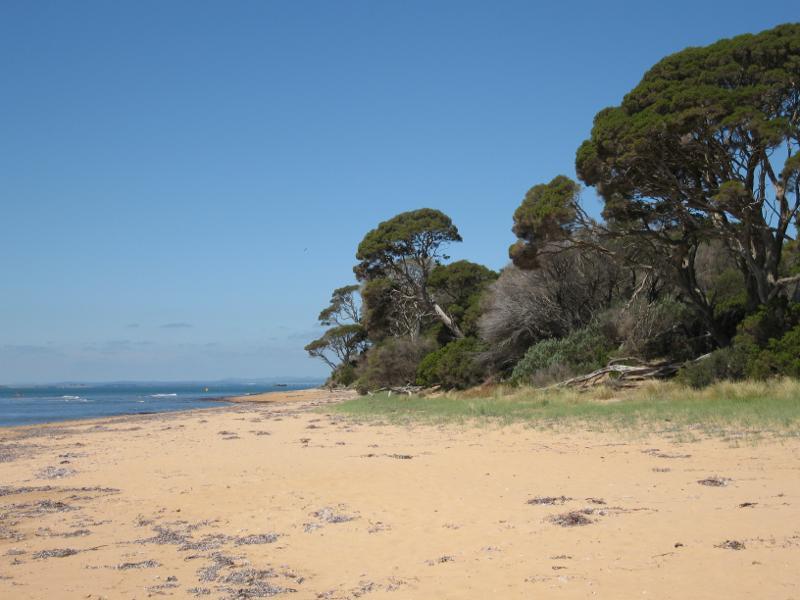 Cowes - Beach at end of Justice Road: View east along beach
