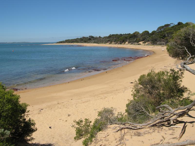 Cowes - Red Rocks and Penguin Point at end of Red Rocks Road - View north-east along beach from top of sand dunes