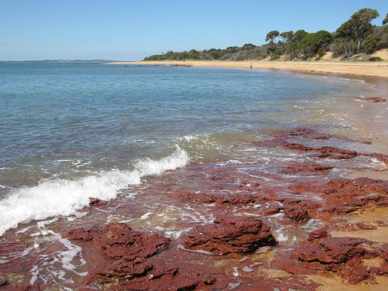 Cowes - Red Rocks and Penguin Point at end of Red Rocks Road: View north-east along beach