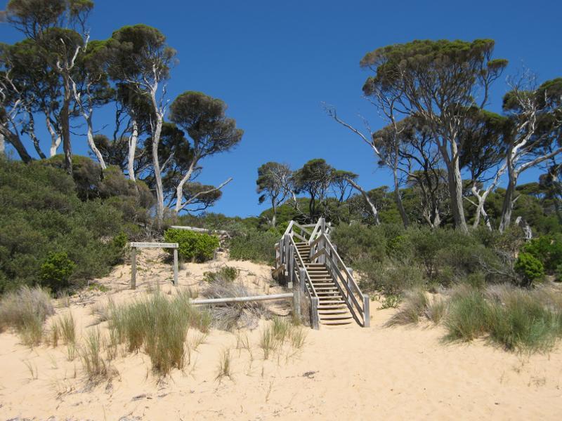 Cowes - Red Rocks and Penguin Point at end of Red Rocks Road: Steps up from beach to picnic area above