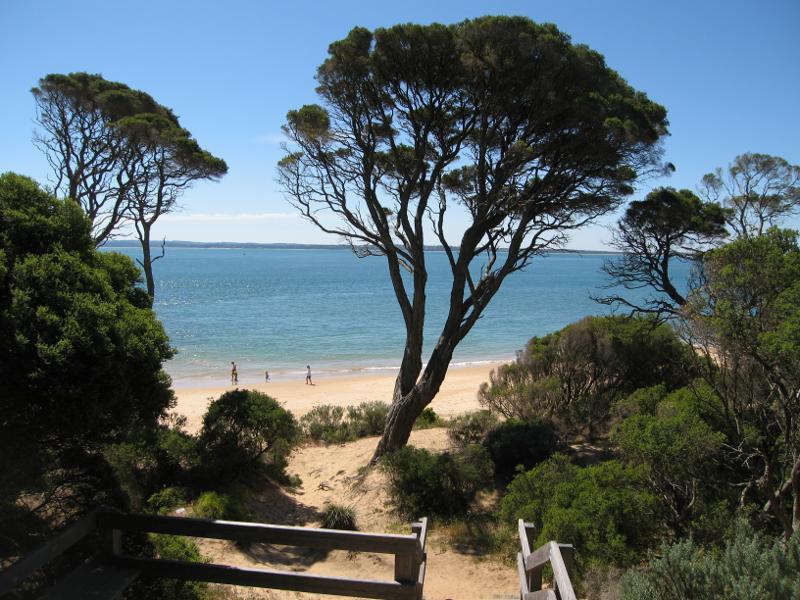 Cowes - Red Rocks and Penguin Point at end of Red Rocks Road: View down to beach from steps near Penguin Rock