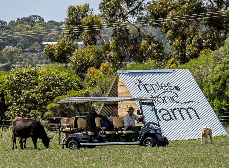 Ripples n Tonic, Ventnor