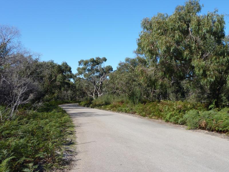Cranbourne - Royal Botanic Gardens Cranbourne, Ballarto Road: View along Stringybark Dr