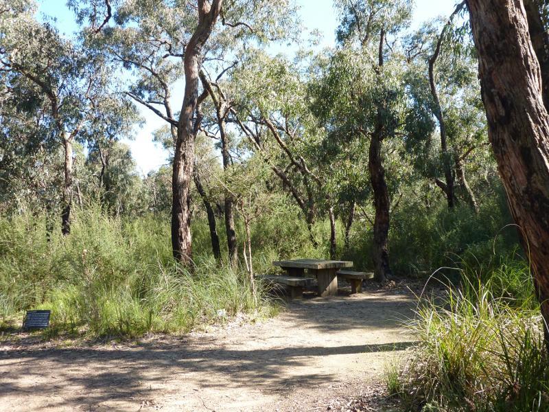 Cranbourne - Royal Botanic Gardens Cranbourne, Ballarto Road: Table at Stringybark Picnic Area