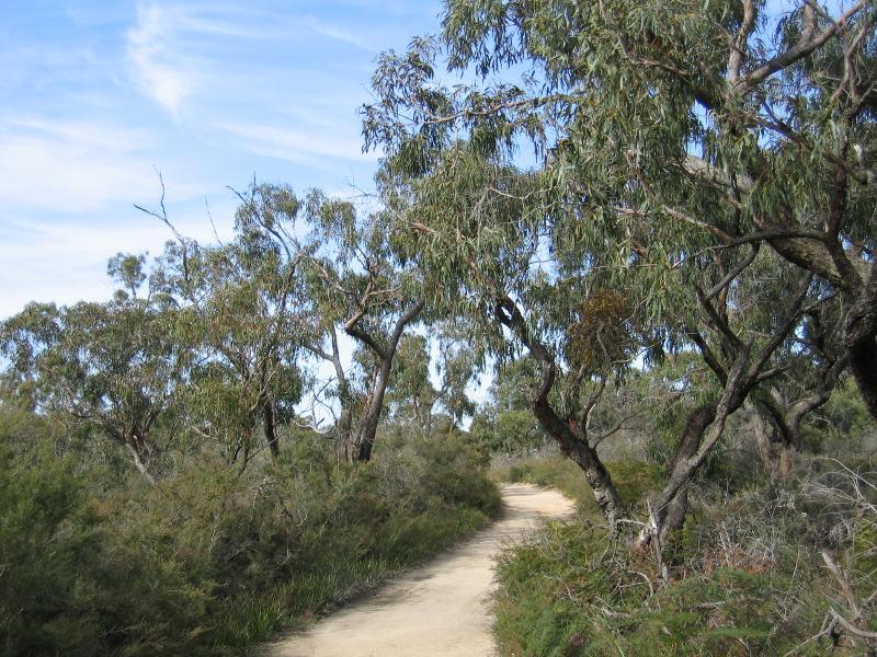 Cranbourne - Royal Botanic Gardens Cranbourne, Ballarto Road: Trig Track