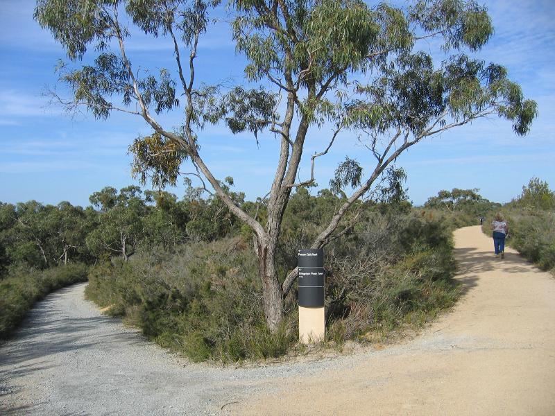 Cranbourne - Royal Botanic Gardens Cranbourne, Ballarto Road: Junction of Trig Track and Possum Gully Track